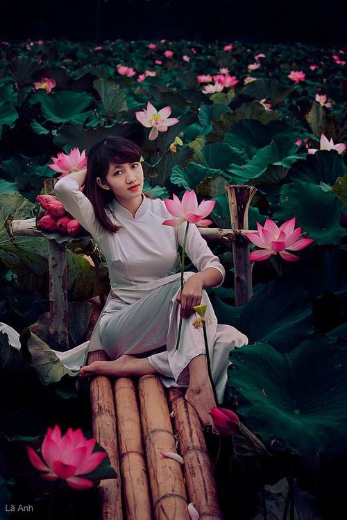 gi&agrave;n tạ đa năng n&agrave;o tốt nhất